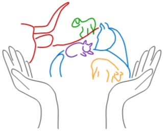 Quaranta S. - Ostéopathie vétérinaire à domicile